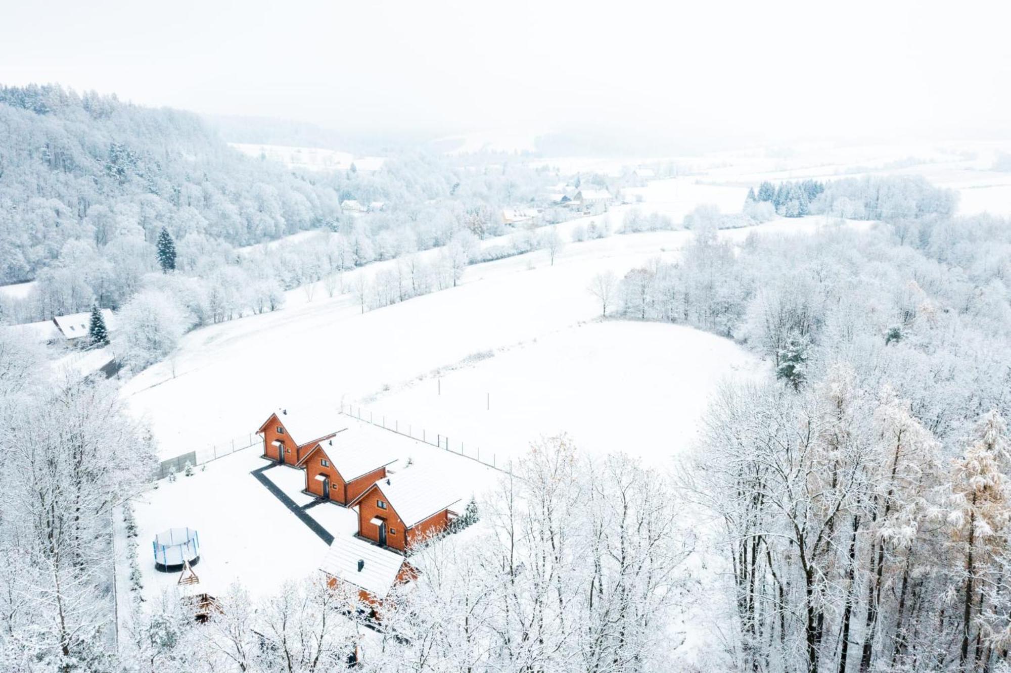 Sloneczne Domki Sudety - Domki Caloroczne Kotlina Klodzka Stary Waliszow エクステリア 写真